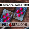 Kamagra Jelly 100 15